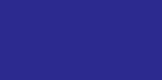 Navy (019)}